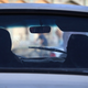 Illustration for article titled Women in Saudi Arabia Aren't Feeling Very Optimistic About Uber
